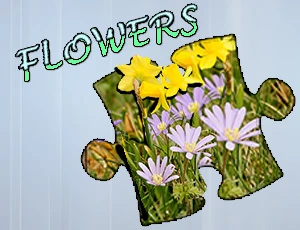 Jigsaw Puzzle: Flowers - Play Free Best Jigsaw Online Game on JangoGames.com