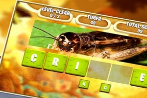 Kids Scrambled Word - Play Free Best Puzzle Online Game on JangoGames.com