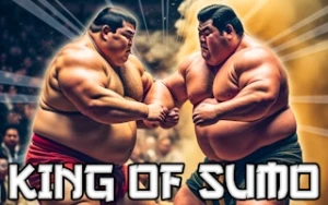 King Of Sumo - Play Free Best sports Online Game on JangoGames.com