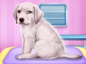 Labrador at the Doctor Salon - Play Free Best Care Online Game on JangoGames.com