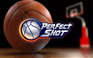 Perfect Shot - Play Free Best basketball Online Game on JangoGames.com