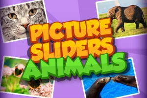 Picture Slider Animals - Play Free Best Casual Online Game on JangoGames.com