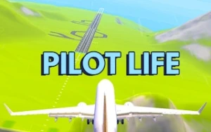 Pilot Life - Flight Game 3D - Play Free Best flight Online Game on JangoGames.com
