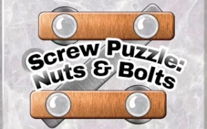 Screw Puzzle - Nuts and Bolts - Play Free Best brain Online Game on JangoGames.com