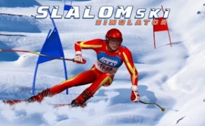 Slalom Ski Simulator - Play Free Best sports Online Game on JangoGames.com