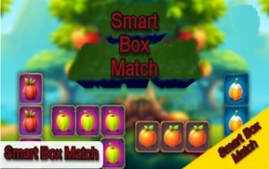 Smart Box Match - Play Free Best block Online Game on JangoGames.com