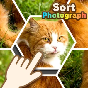 Sort Photograph - Play Free Best Art Online Game on JangoGames.com