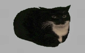 Spinning Cat Clicker - Play Free Best clicker Online Game on JangoGames.com