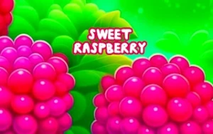 Sweet Raspberry - Play Free Best casual Online Game on JangoGames.com