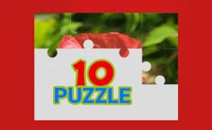 TenPuzzle - Play Free Best kids Online Game on JangoGames.com