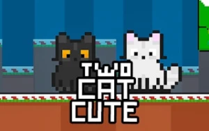 Two Cat Cute - Play Free Best animal Online Game on JangoGames.com