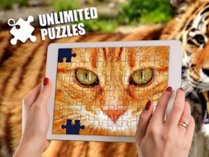 Unlimited Jigsaw Puzzles - Play Free Best Puzzle Online Game on JangoGames.com