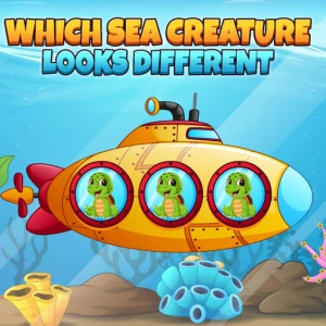 Which Sea Creature Looks Different - Play Free Best Puzzle Online Game on JangoGames.com