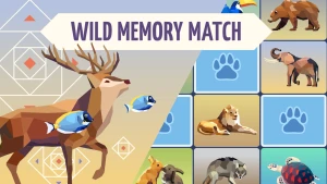 Wild Memory - Play Free Best Puzzle Online Game on JangoGames.com