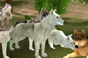 Wild Wolves Hunger Attack - Play Free Best Adventure Online Game on JangoGames.com