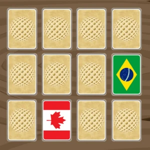 World Flags Memory - Play Free Best Puzzle Online Game on JangoGames.com